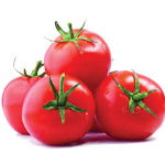 ??????? Tomato