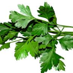 ?????? Parsley
