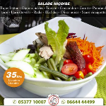 SALADE NI�OISE